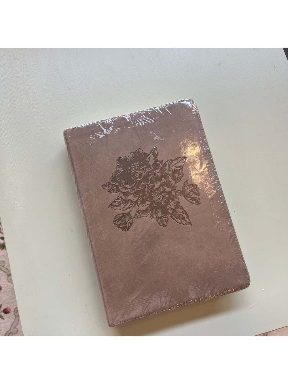 ESV Large Print Bible